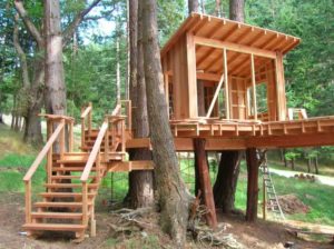 Как построить дом на дереве – воплощаем детскую мечту в реальность