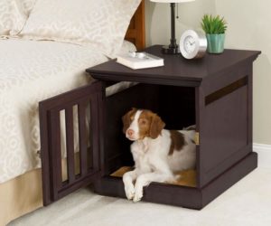 Дом для собаки – уютное жилище для комнатного любимца
