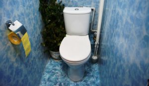 Отделка туалета пластиковыми панелями – как сделать ремонт самостоятельно?