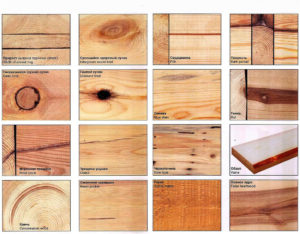 Почему гниет древесина – возможные причины и способы их устранения