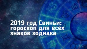 Год Желтой Свиньи. Гороскоп на 2019 год по каждому знаку зодиака