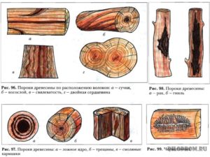 Почему гниет древесина – возможные причины и способы их устранения