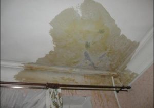 Ремонт потолка своими руками после протечки и стоимость работ