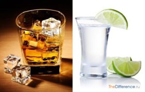 В чем принципиальная разница между водкой и виски и что лучше пить