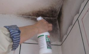 Как избавиться от плесени в ванной комнате и чем обработать грибок на потолке