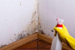 Чем обработать потолок в квартире от грибка и как избавиться от плесени