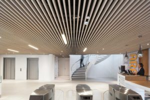 Дизайн и стоимость реечного кубообразного потолка