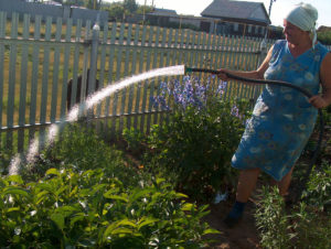 Изменения для садоводов и огородников в пользовании водой с 2019 года