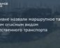 Комфорт и безопасность: выбор лестницы для дома