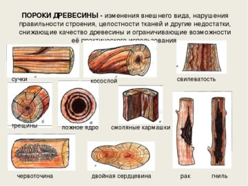 Вертикальные сады: как воплотить идею