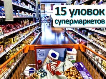 Строительство бани: от фундамента до отделки