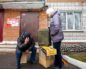 Использование природных фитоэлементов в интерьере
