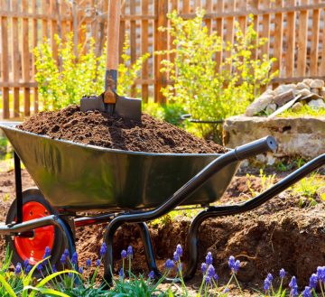 Все, что нужно знать о почвогрунте для сада и огорода