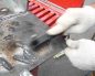 Как проводится сварка без газа