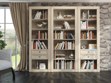 Книжные шкафы: как выбрать и организовать